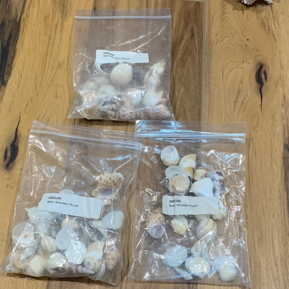 One grab bag of approx 30 small shells for crafting and decor